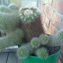 ���� ����, ��������, 85 ��� - ��������� 10 ���� 2012 � ������ ���� ����������