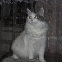 ���� ������, ���� - ��������� 3 �������� 2010 � ������ �������