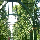 ���� ������, �����-���������, 41 ��� - ��������� 25 ������� 2012