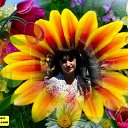 ���� L� Comtesse, ���������, 47 ��� - ��������� 3 ���� 2013 � ������ ���� ����������