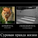 ���� ��, ������������, 39 ��� - ��������� 7 ������ 2011 � ������ ����������