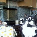  Selina,  -  6  2011   PetLove