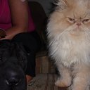 ���� Sawa, �������, 55 ��� - ��������� 20 ���� 2010 � ������ ���� ��������!�