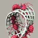 ���� �����, ������ - ��������� 28 ������ 2010 � ������ �������� � �����������