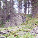 ������ �����. �� ������� ���� ����������