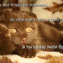 ���� ������, �����-���������, 51 ��� - ��������� 5 ������� 2012 � ������ �������