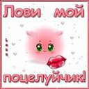 ���� ˸��, �����������, 38 ��� - ��������� 15 ������� 2011 � ������ ���� ����������