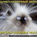 ���� ������, ����, 43 ���� - ��������� 31 ���� 2012 � ������ �������