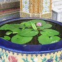 ���� ������, ������, 63 ���� - ��������� 6 ������� 2012 � ������ ��������