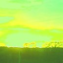 ���� �������, ��������, 47 ��� - ��������� 21 ������ 2011 � ������ ���� ����������