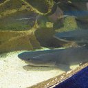 ���� ����, �����-���������, 57 ��� - ��������� 23 ������ 2011 � ������ �� �����������