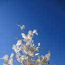  ,  -  12  2010    _ 2010