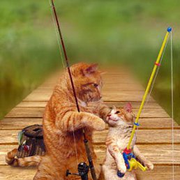 ���� ����, �����������, 39 ��� - ��������� 30 ������ 2010