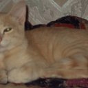 ���� Vladimir, ������������, 46 ��� - ��������� 28 ��� 2011 � ������ �������