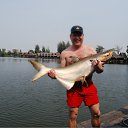 ���� �������, ����������, 51 ��� - ��������� 28 ��� 2012