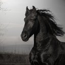 ���� �������, ��, �������� - ��������� 15 ������� 2012 � ������ �������...�