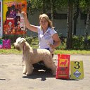 ������ ������ � ��������! �� ������� ���� ����������