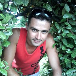 , 39, 