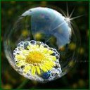 ���� �������, ���������, 51 ��� - ��������� 30 ������� 2011 � ������ ���� ����������