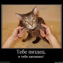 ���� ����, ������, 48 ��� - ��������� 8 ���� 2011 � ������ ����