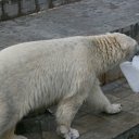 ���� ������� �����, ����������� - ��������� 29 ���� 2011 � ������ �������