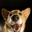 ���� ���� (� ������� - ����� ), ���������, 57 ��� - ��������� 20 ������� 2013 � ������ ���� ����������