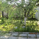  , -, 57  -  10  2012     .