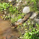 ���� �����, ���������, 60 ��� - ��������� 10 ��� 2011 � ������ �� �...�