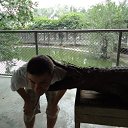 ���� ����, �����, 34 ���� - ��������� 25 ������ 2012