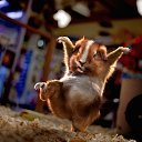 ���� ����, ��������� - ��������� 6 ������ 2012 � ������ �������