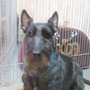 ���� ����, �����-���������, 34 ���� - ��������� 7 ������� 2010