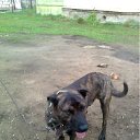 ���� �������, ������, 67 ��� - ��������� 12 ���� 2012 � ������ ���� ������ �����������