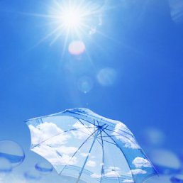 ���� ������, ������ - ��������� 1 ������ 2010