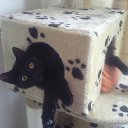 ���� Natalya, ��������, 56 ��� - ��������� 11 ������� 2011 � ������ ����� ����, ���� � &amp;�