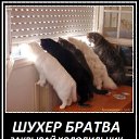 ���� Ը���, �����������, 38 ��� - ��������� 8 ������� 2012 � ������ ���� ����������