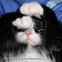 ���� ����@, ��������, 62 ���� - ��������� 4 ��� 2010 � ������ �������-��� ������� ����