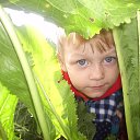 ���� �������, ��������, 46 ��� - ��������� 16 ��� 2010