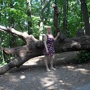 ���� ����, ������ - ��������� 17 ���� 2010 � ������ ���� ����������