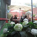 ���� �����, �����-���������, 66 ��� - ��������� 5 ���� 2010 � ������ �������