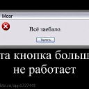 ���� �������, �������� - ��������� 25 ������ 2011 � ������ �PetLove�
