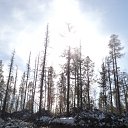 ���� ������, �������, 38 ��� - ��������� 24 ������ 2012 � ������ �������