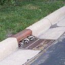 ���� ������, ����, 51 ��� - ��������� 5 ������� 2009 � ������ ��� ����� �������� ������