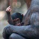 ���� ����� - ���������� ��������!!!, �����������, 56 ��� - ��������� 4 ������� 2009 � ������ ����������� :-)�