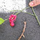 ���� ����, ������, 39 ��� - ��������� 9 ������� 2009 � ������ ����.....������...!!!!!!!!!!)))))))�