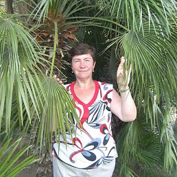 �����, ������, 68 ���