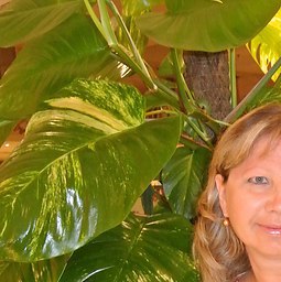 ������, ����������, 54 ����