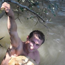 ������, ��������, 37 ���