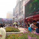 ���� �����, �����-���������, 63 ���� - ��������� 14 ����� 2009 � ������ ���� ����������