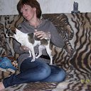 ���� �����, �����-���������, 57 ��� - ��������� 8 ���� 2013