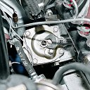 ���� ������, �������, 39 ��� - ��������� 8 ������� 2010 � ������ �������